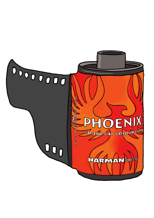 Phoenix cassette